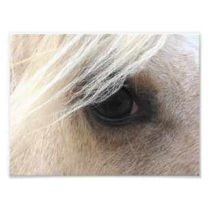 Palomino Fototryck