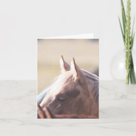 Palomino Gold - 4" x 5.6" Notecard  Kort