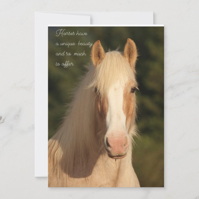 Palomino Gypsy Vanner Häst gratulationskort Tack Kort (Framsida)