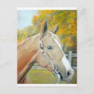 Palomino, Hästpastell Vykort
