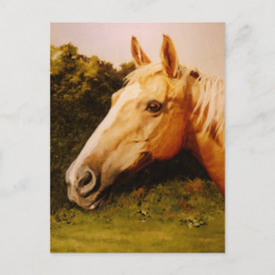 Palomino Horse Art Vykort