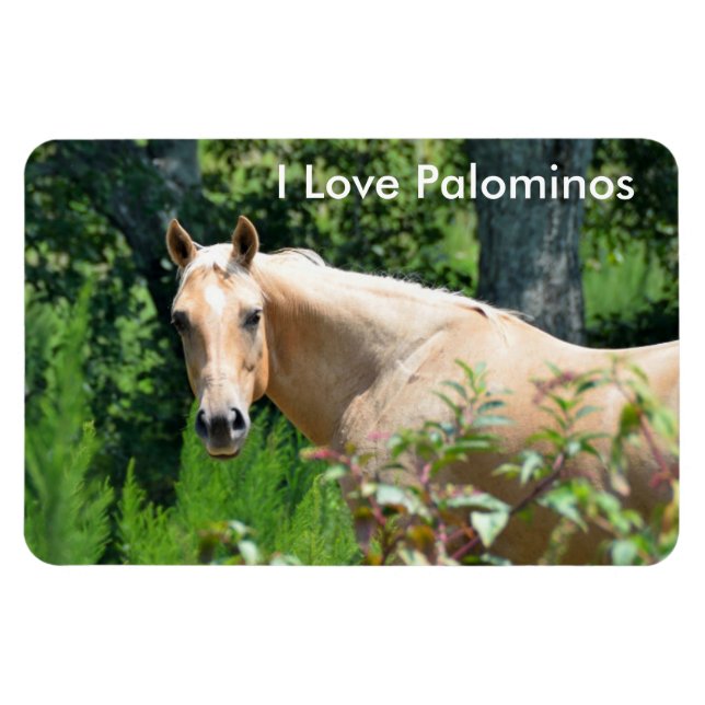 Palomino Horse Flexible Magnet (Horisontell)