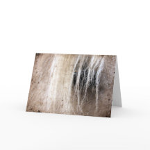 Palomino Horse Grunge Birthday