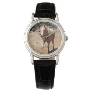 Palomino Horse Hälsning,- Armbandsur