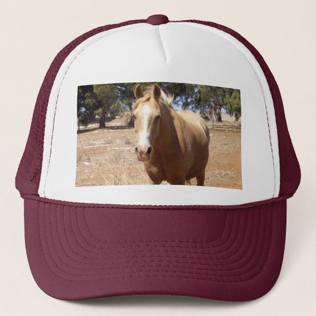 Palomino Horse Hälsning,- Keps (Framsida)