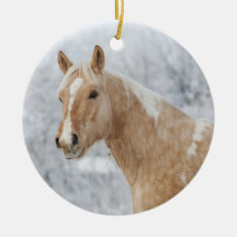 Palomino Horse i snö
