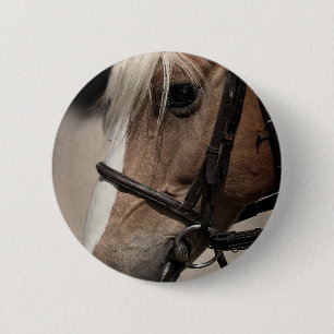 Palomino Horse in Bridle Knapp