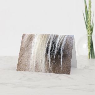 Palomino Horse Kort