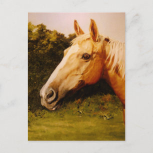 Palomino Horse med White Blaze Vykort