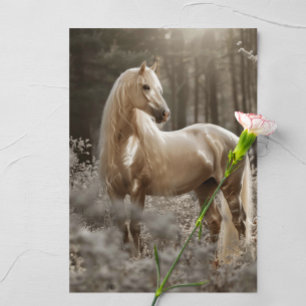 Palomino Horse Photograph Kort