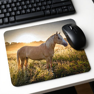 Palomino Horse vid Sunrise Musmatta