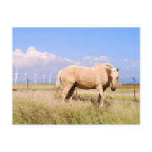Palomino Horse with Windmills vycard
