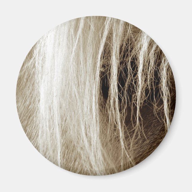 Palomino i Sepia Magnet (Framsidan)