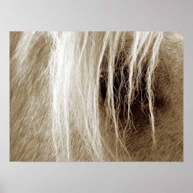 Palomino i Sepia Poster (Framsidan)