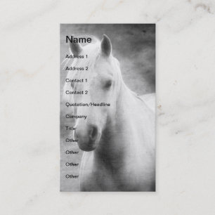 Palomino in Black and White Visitkort