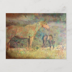 Palomino Mare and Foal Vykort