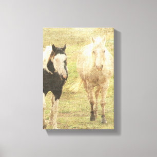 Palomino och Pinto Canvastryck