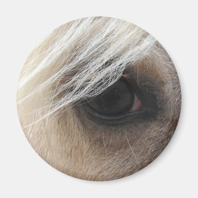 Palomino Öga Magnet (Framsidan)