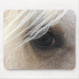 Palomino Öga Musmatta