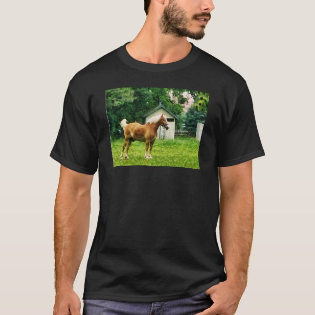 Palomino på betesmark tee shirt (Framsida)