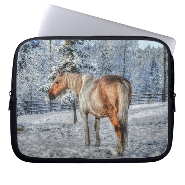 Palomino Paint Horse och Snö Equine Photo Laptop Sleeve (Framsidan)