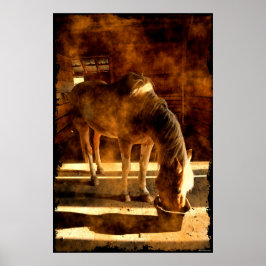Palomino Pinto Horse Matande i Barn Poster