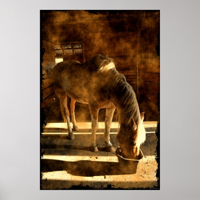 Palomino Pinto Horse Matande i Barn Poster (Framsidan)