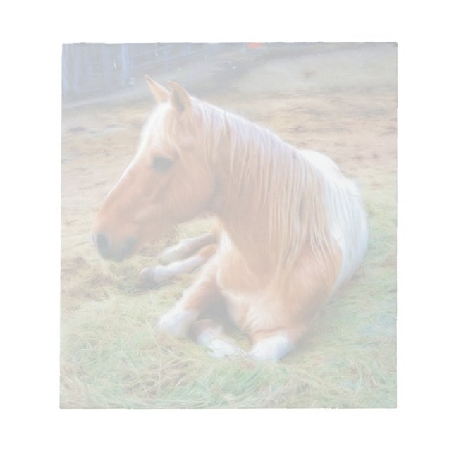 Palomino Pinto Horse Resting Artwork Anteckningsblock (Framsida)