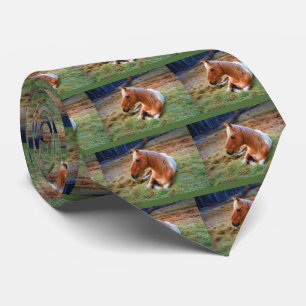 Palomino Pinto Horse Resting Artwork Slips