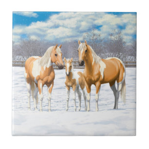 Palomino Pinto Paint Quarter Horses i Snö Kakelplatta