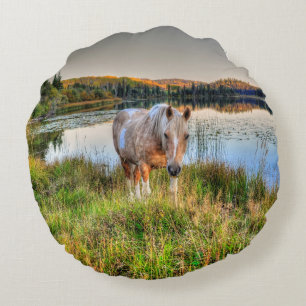 Palomino Pinto Paint Stallion från Sjö Rund Kudde