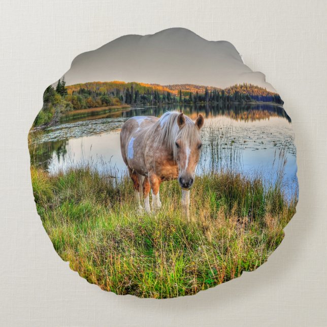 Palomino Pinto Paint Stallion från Sjö Rund Kudde (Baksidan)