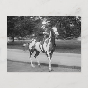 Palomino Pony, 1915 Vykort