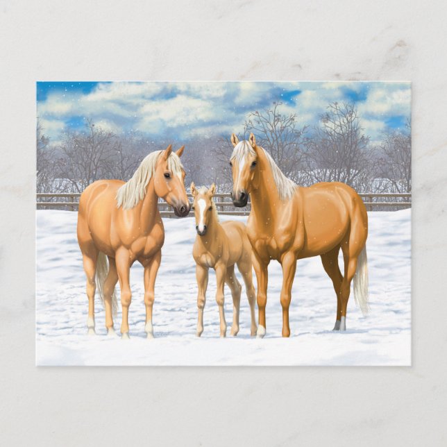 Palomino Quarter Horses i Snö Vykort (Framsida)