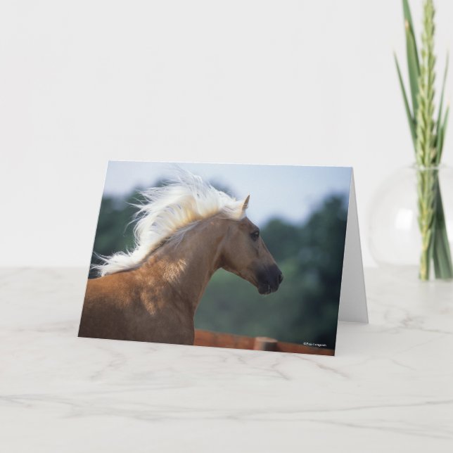 Palomino Rocky Mountain Horse Headshot Kort (Framsida)