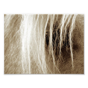 Palomino Sepia Fototryck