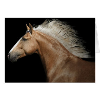 Palomino Stallion Hälsningskort