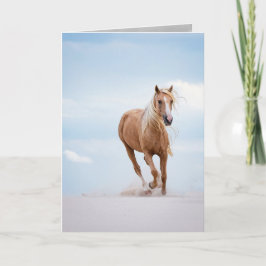 Palomino Stallion på Dunes Horse Greeting Card Kort