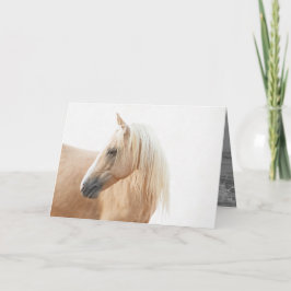 Palomino Stallion Turns Horse Greeting Card Kort