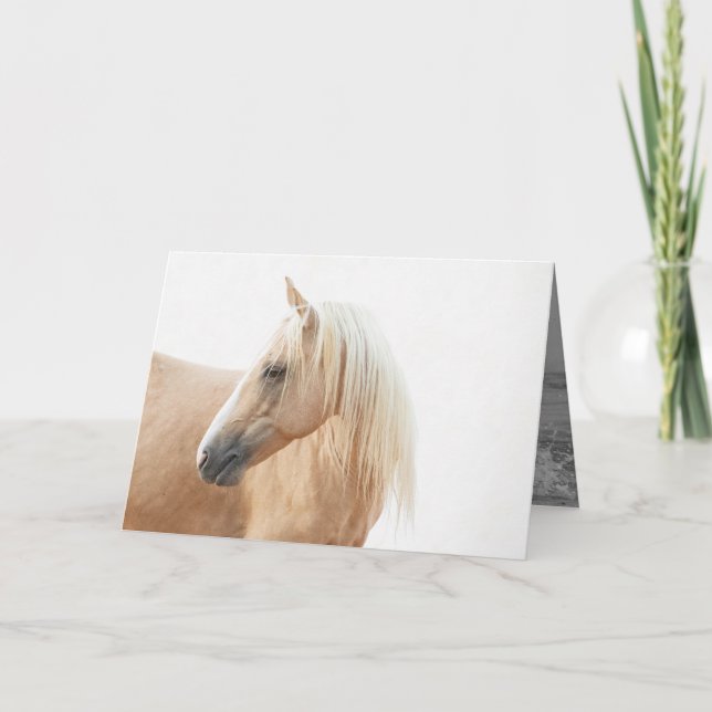 Palomino Stallion Turns Horse Greeting Card Kort (Framsida)
