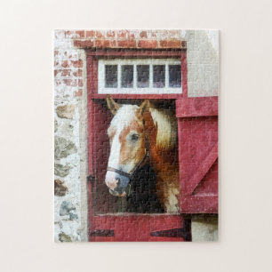 Palomino vid ladudörr pussel