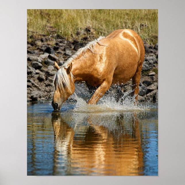 Palomino Waters  Poster (Framsidan)