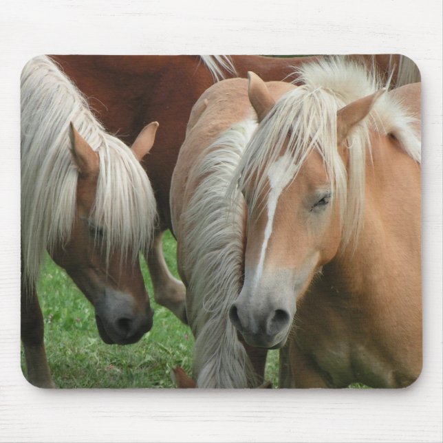 Palominoflock Mousepad Musmatta (Framsidan)