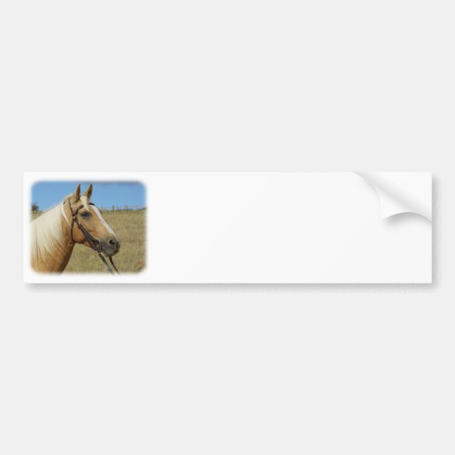 Palominohäst 9R015D-184 Bildekal (Framsidan)