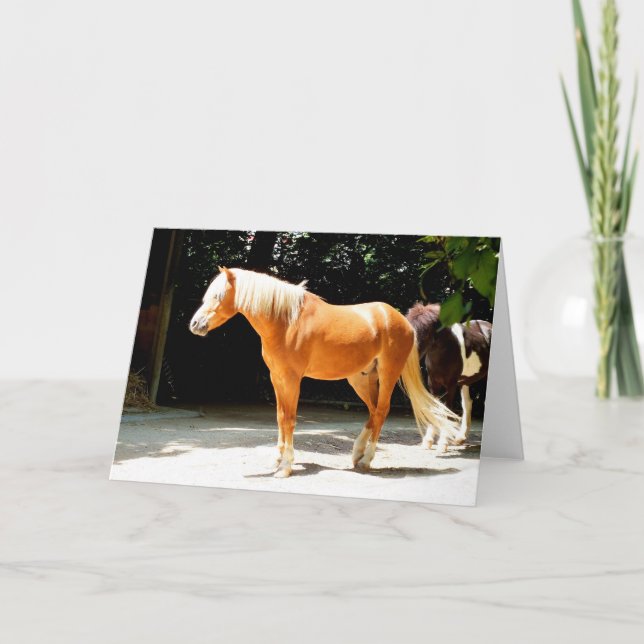 Palominohäst djur helgkort (Framsida)