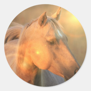 Palominohäst i ljus klistermärke