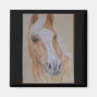 palominohäst magnet