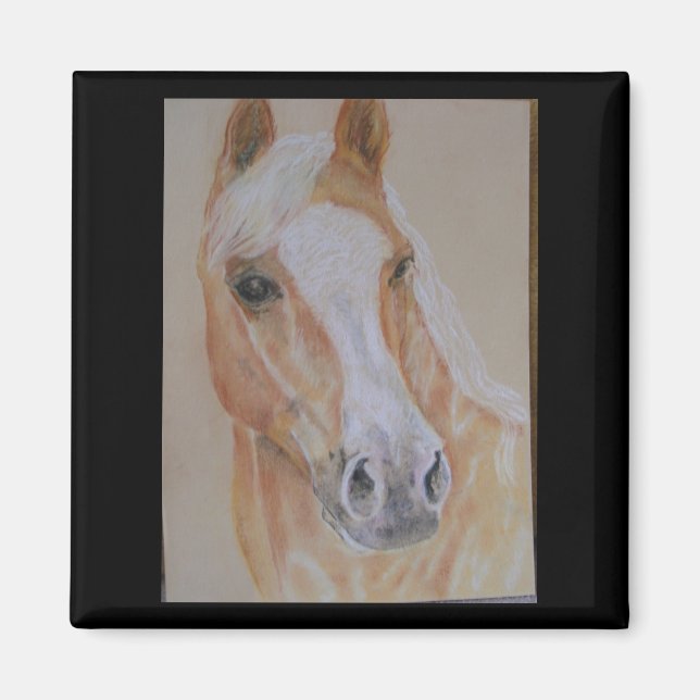 palominohäst magnet (Framsidan)