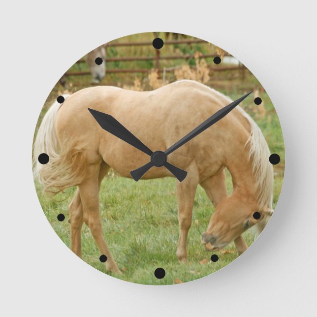 Palominohäst Rund Klocka (Framsida)