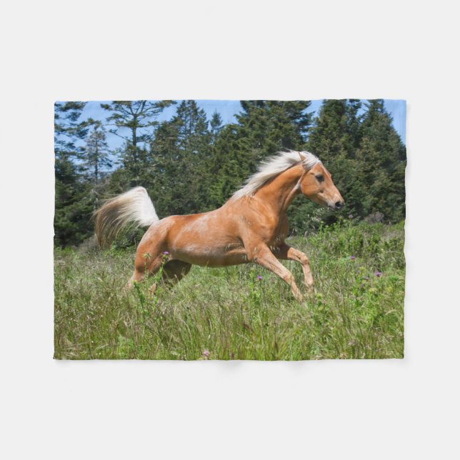 Palominohäst som springer genom en äng fleecefilt (Framsidan (Horisontell))